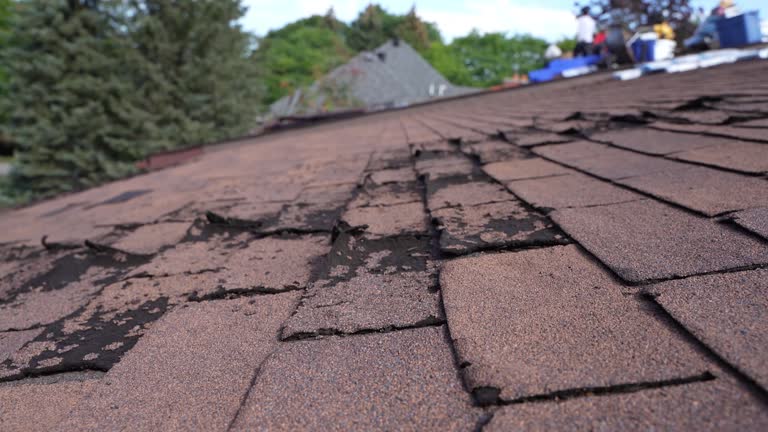 Best Metal Roofing Installation  in Richmond Heights, OH